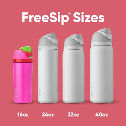 Gym Freesip Insulated Stainless Steel Water Bottle with Straw for Sports, Travel, and School, Bpa-Free Sports Water Bottle, 16 Oz